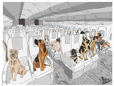 Dogs in Flight Economy Class